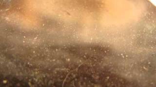 Flying Saucer Attack - resolution island