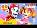 PAW Patrol Eltern Helfen Mit 60 Minuten Freundschaft Nick Jr Deutschland