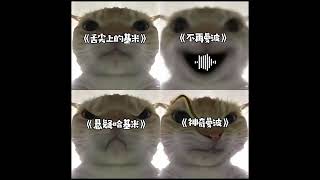 哈基米歌曲选集 #哈基米 #はちみー  #hachimi  #舌尖上的中國