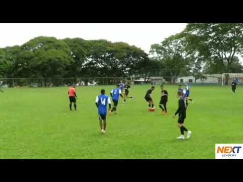 Paulo C.D.F | HIGHLIGHTS