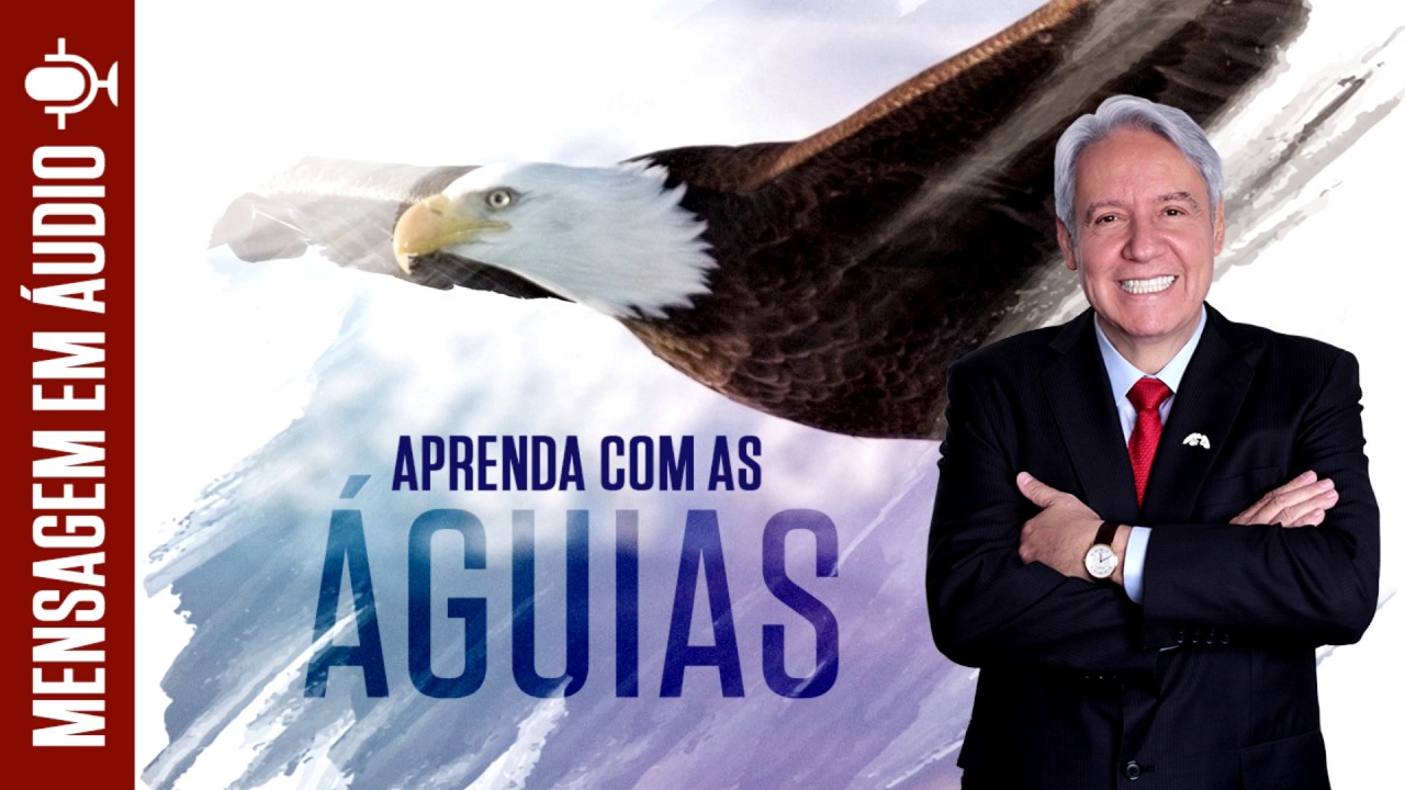 Aprenda com as águias