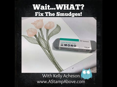 Wait What...Tip Video