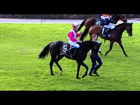 Belmont Park, 07/05/2016 - Race 3 - STAR EXHIBIT - Jason Miller & & Clint Johnston-Porter