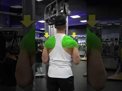 The Perfect Triceps Pushdown (DO THIS!)