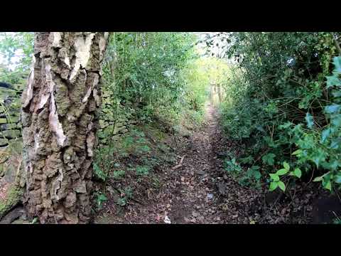 Brockholes circular 4K (walk) 15 Apr 19 (1a)