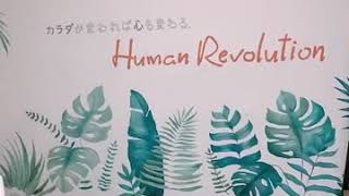 まひろキックボクシング@hu-Revo