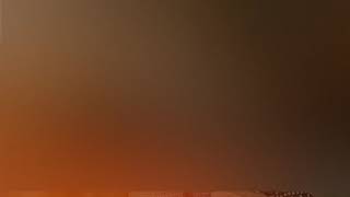 Zubaan song ricky khan punjab whatapp status