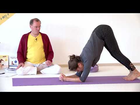 Ellbogenstand - Yoga Asana Lexikon