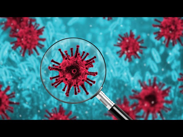 В АГО вспышка заболеваемости коронавирусом