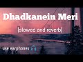 Dhadkane Meri Bas Me Rahi Na Sanam Slowed And Reverb Yasser Desai Asees Kaur Raj Creations