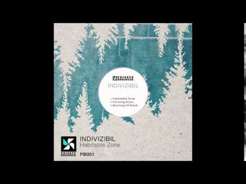 Indivizibil - Habitable Zone / Original Mix [Private Business.]