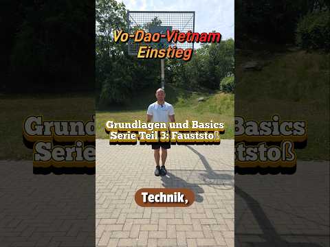 Fundamentals & Basics – Part 3: The Punch in Vo-Dao Vietnam (Kung Fu)