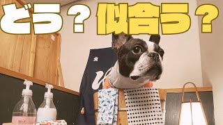 【伊豆旅行Part2】大満足でした！🤣✨