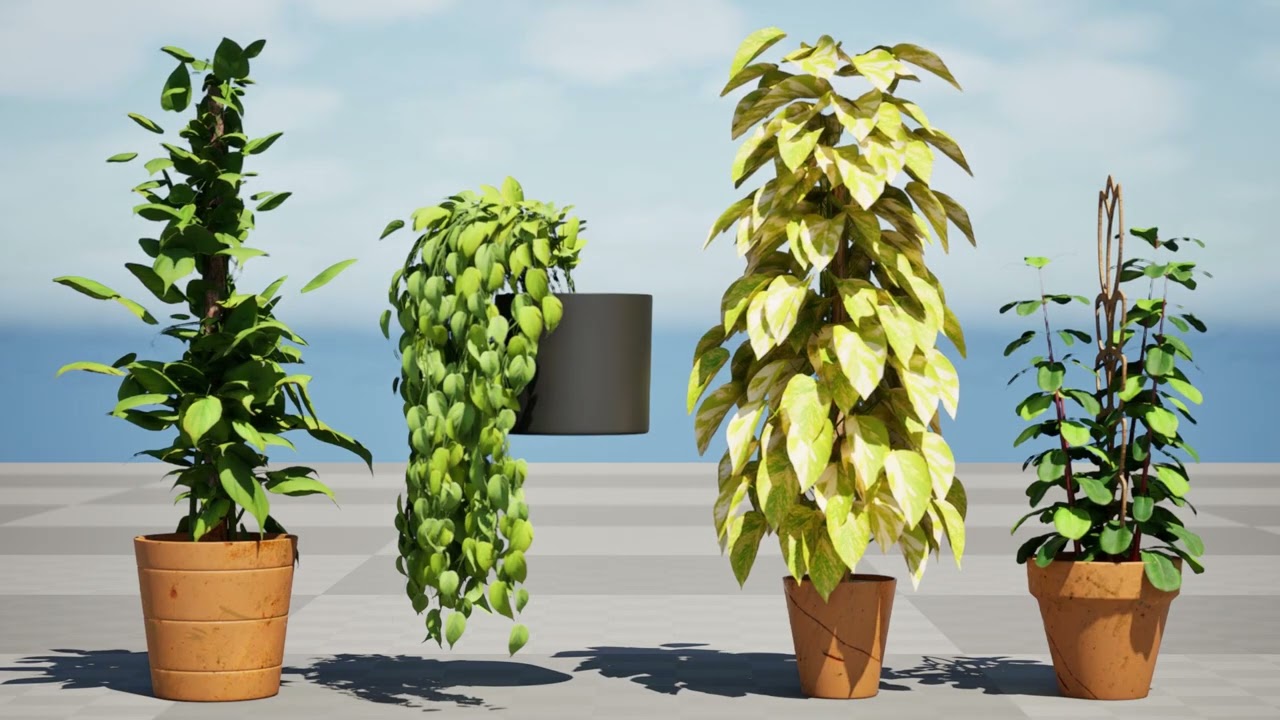Realistic Sindoor Pothos 3D Model