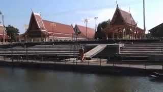 preview picture of video 'Fish feeding at Tha Chin River - ‪Wat Klang Bang Kaeo‬'