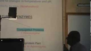 1) Dr.Rasheed 16/03/2014 [Enzymes : Chemical Nature - Active site & Catalyzed reactions]