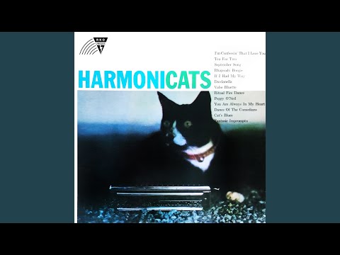 Video thumbnail for Fantasy Impromptu