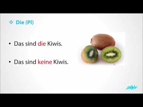 Die Pluralform -  اللغة الألمانية  - للصف الأول الثانوي - الترم الثاني - نفهم