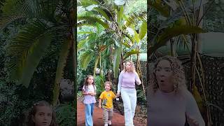BELLA E LUCCA ENCONTRAM OVOS DE DINOSSAUROS! 🦖🥚