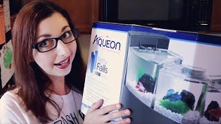 Betta Fish Tank Unboxing And Initial Review | Aqueon Betta Falls Aquarium