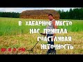 ПОИСК КЛАДА В ДМИТРОВСКОМ РАЙОНЕ SEARCHING FOR TREASURE TREASURE HUNTERS OF RUSSIA ПОИСК КЛАДА В ДМИТРОВСКОМ РАЙОНЕ SEARCHING FOR TREASURE TREASURE HUNTERS OF RUSSIA