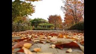 Autumn in My Heart ost Endless Love Korean Drama...