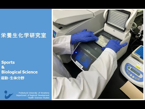 保健福祉学科 研究室紹介 栄養生化学研究室