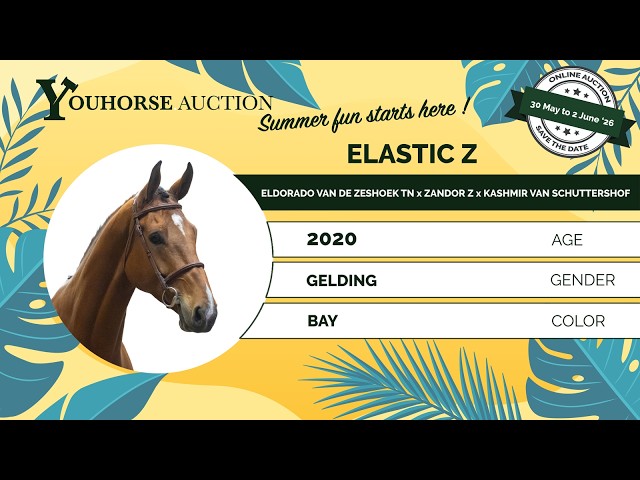 Elastic Z impression video