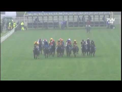 2014 Darley TJ Smith Stakes - Lankan Rupee