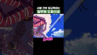 원피스) 사황 간부 참교육하는 칠무해 도황선생