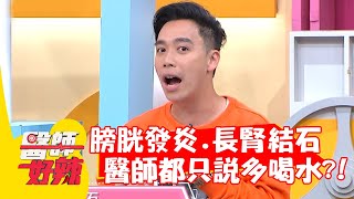 膀胱發炎、長腎結石？醫師都只說「多喝水」？！【#醫師好辣】20220413 part1 EP1313 袁明琦 邱鴻傑