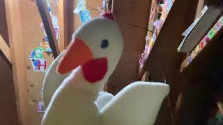 I Am Chicken