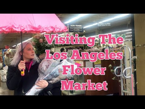 download lagu mp3 mp4 Cheap Flower Market, download lagu Cheap Flower Market gratis, unduh video klip Cheap Flower Market