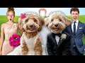 My DOG got MARRIED! *EMOTIONAL*