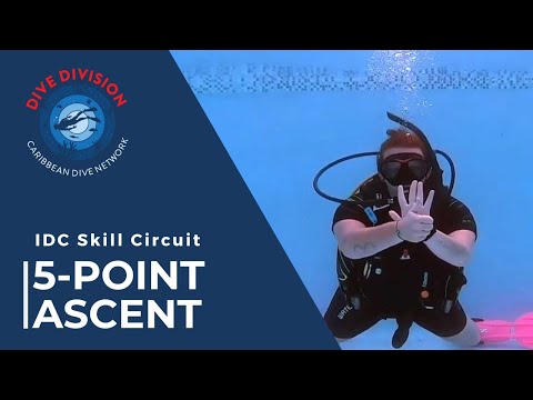 PADI IDC Skill Circuit: 5 Point Ascent (Revised Instructor Development Course)