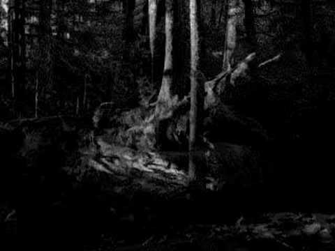 download lagu mp3 mp4 The Separation Of The Wolf The Sheep, download mp3 The Separation Of The Wolf The Sheep free download, download mp3 The Separation Of The Wolf The Sheep