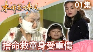 [情報] 中視戲劇花系列「木棉花的春天」上架