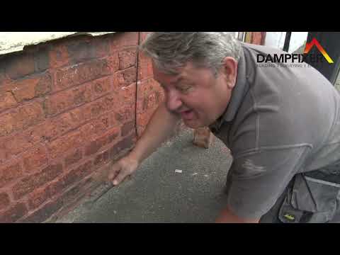 stopping rising damp repair naturally