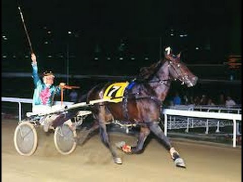 Harness Racing,Harold Park-28/03/1980 Inter-Dominion Grand Final (Koala King-B.P.Hancock)