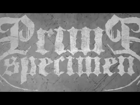 PRIME SPECIMEN   Rivals Official Lyric Video (Full ALBUM AVAILABLE NOW!)