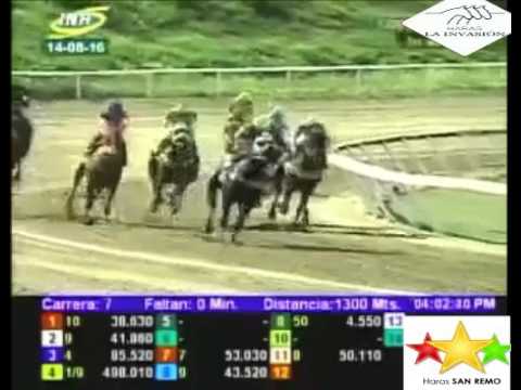 LA RINCONADA 7 CARRERA, DOMINGO 14 DE AGOSTO DEL 2016