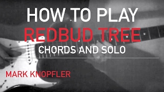 Mark Knopfler - Redbud Tree - How to Play Chords and Solo