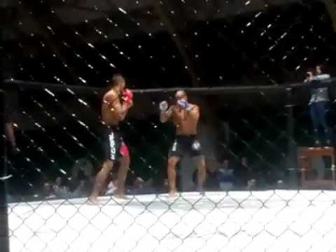 Luta do tubarão vs wand