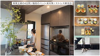 【vlog】梅雨時期の掃除☔️ストレス解消法💫4日間のお弁当とご飯👩‍🍳