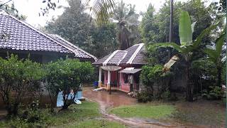 Download lagu A remote settlement in the middle of a garden near the forest, beautiful and cool after the rain. mp3