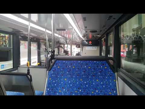 Transit Systems NSW Volvo B8L/Gemilang Eco DD 8196 | 444 Busfest Shuttle