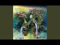 Playful Universe (Original Mix)