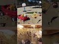 Behindthescenes Quicksand