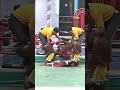 Orangutan Ambulance