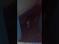 Kucing Buang Air Besar Di Toilet